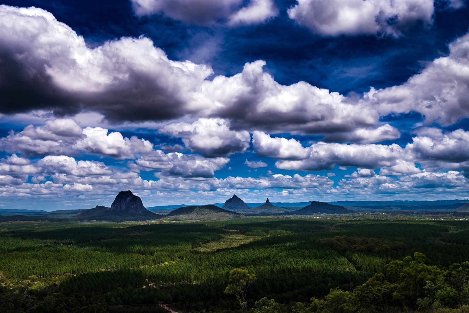 The Glass House Mountains rising above the pine forests between Caloundra and Caboolture